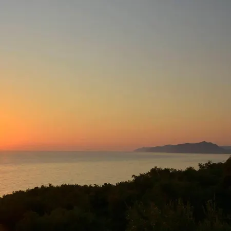 Apple Dragotiná